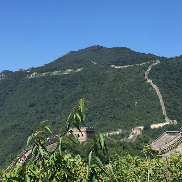 Meet your Posher, Anou. - Picture 7 of 8